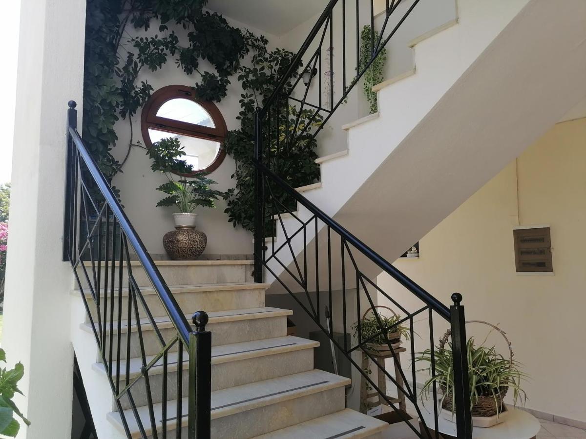 Palatino Studios Агия Параскеви Екстериор снимка